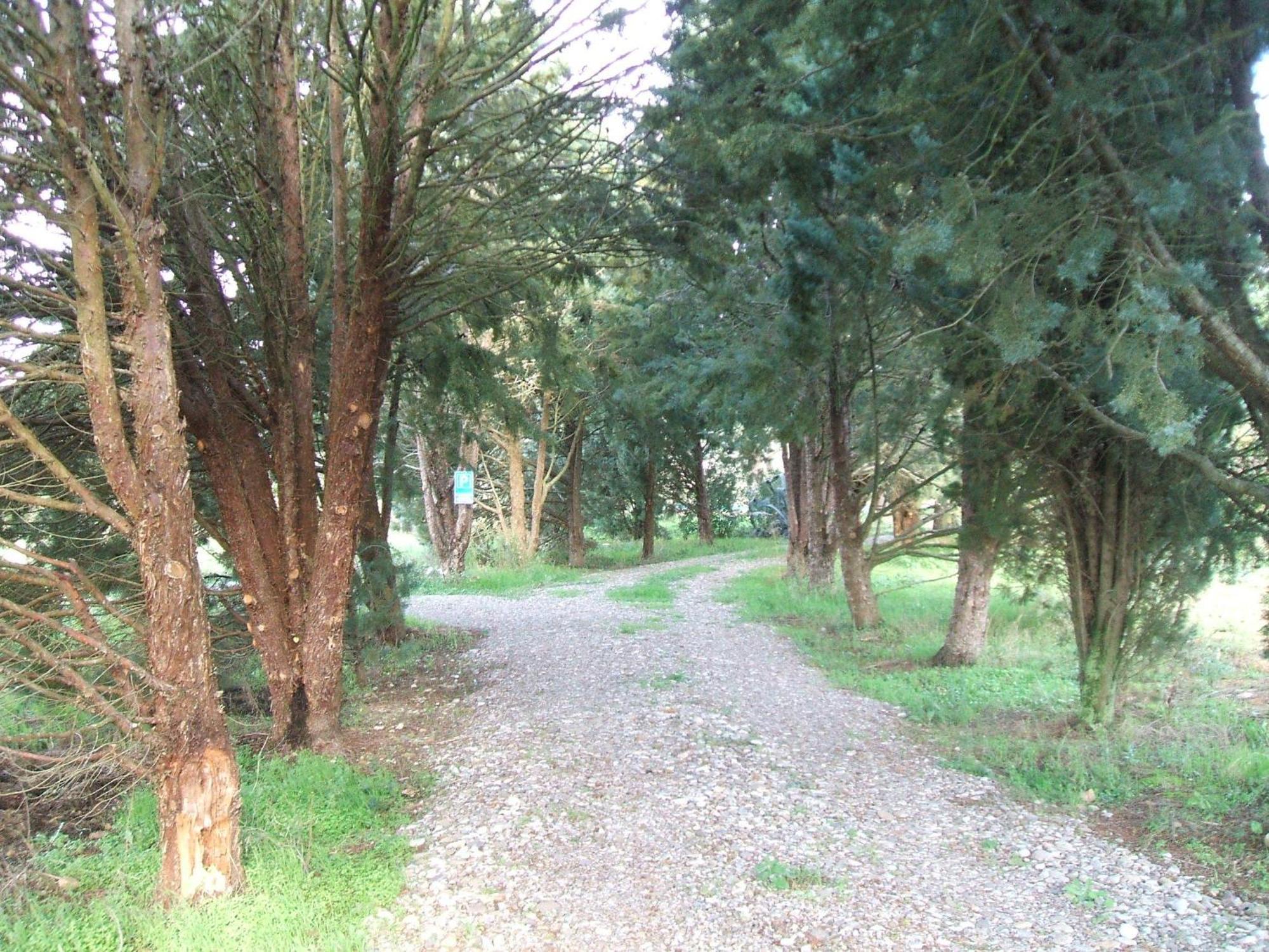 Casetta Francini Civitella Marittima Екстер'єр фото