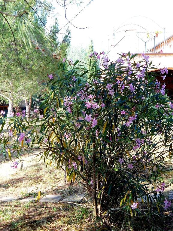 Casetta Francini Civitella Marittima Екстер'єр фото
